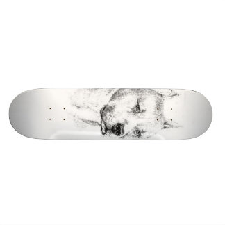 Pitbull Skateboard Decks | Zazzle