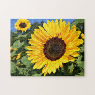 The Jigsaw Puzzle Factory Songbirds Sunflower, Spr