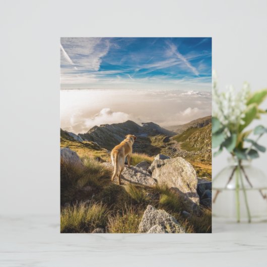 The journey (Standing Front)