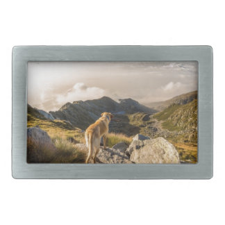 The journey belt buckle