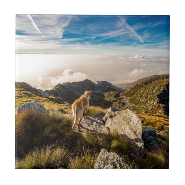 The journey ceramic tile (Front)