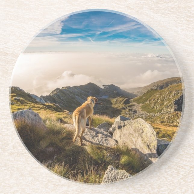 The journey drink coaster (Front)