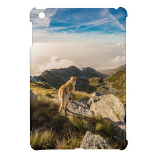 The journey iPad mini case