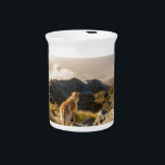 The journey pitcher<br><div class="desc">The journey awaits you!</div>
