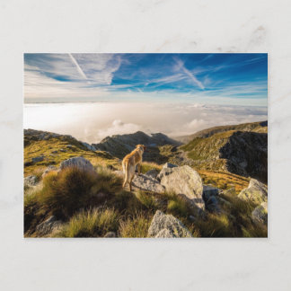 The journey postcard