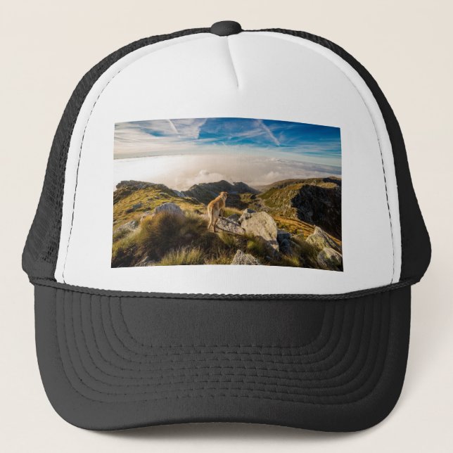 The journey trucker hat (Front)