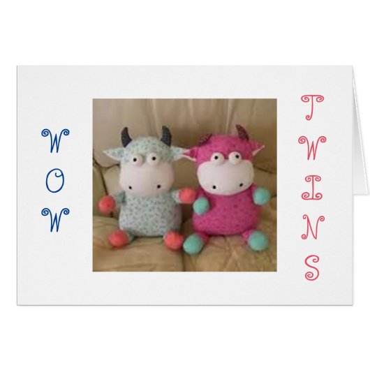 THE JOY OF TWIN GIRL/BOY DOUBLES EVERYTHING (Front Horizontal)