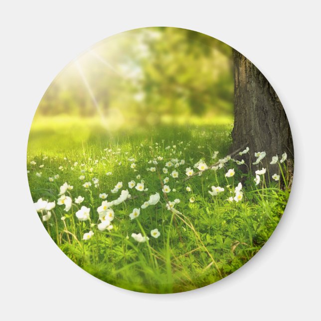 The Joys of Spring Magnet (Front)