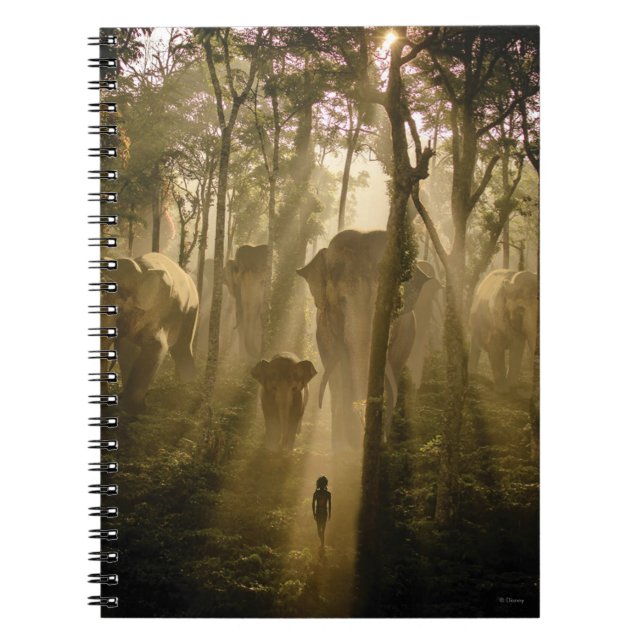 The Jungle Book Elephants (Front)