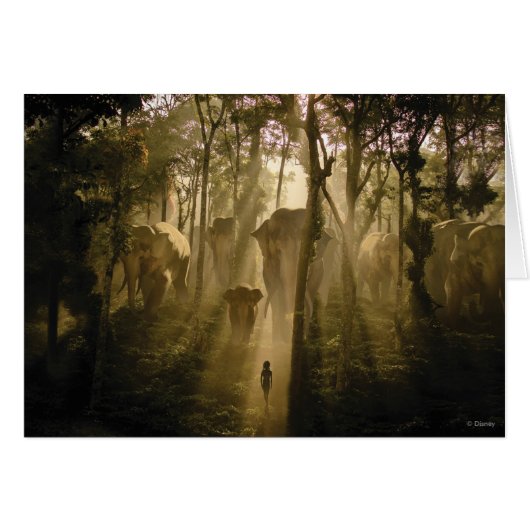 The Jungle Book Elephants (Front Horizontal)