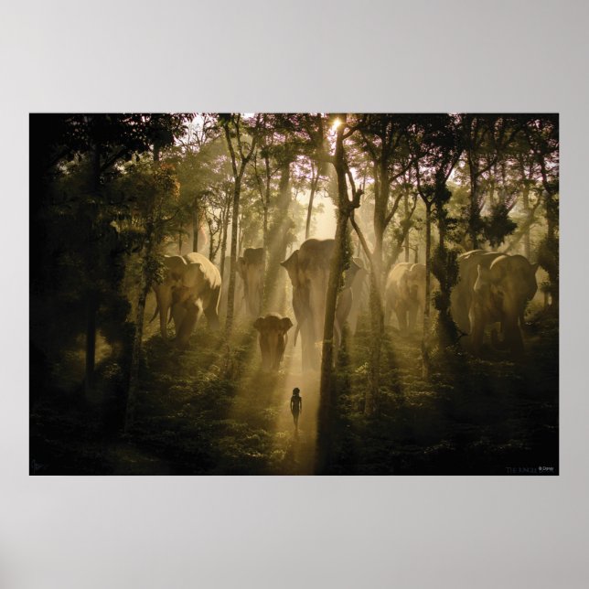 The Jungle Book Elephants Poster (Front)