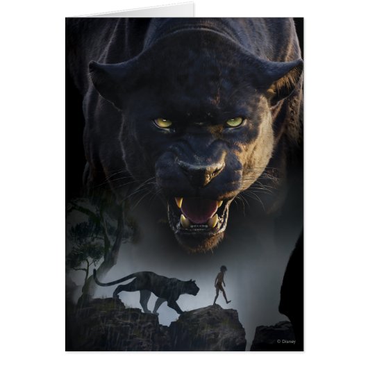 The Jungle Book | Push the Boundaries Cards (Front)