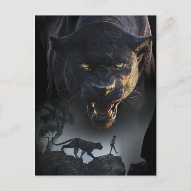 The Jungle Book | Push the Boundaries Postcard (Front)