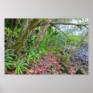 The Kalalau Trail, Napali Coast, Kauai, Hawaii Poster