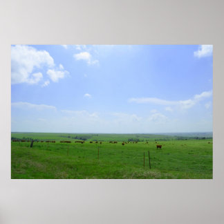 The Kansas Landscape Poster