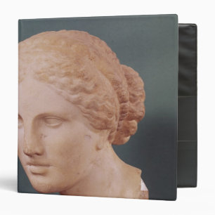 The Kauffmann Head, Head of Aphrodite Binder
