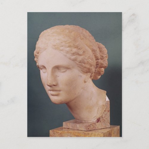 The Kauffmann Head Head of Aphrodite Postcard