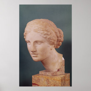 The Kauffmann Head, Head of Aphrodite Poster