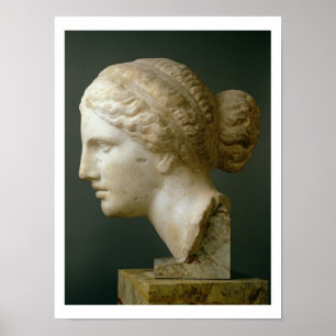 The Kauffmann Head, Roman (marble) Poster