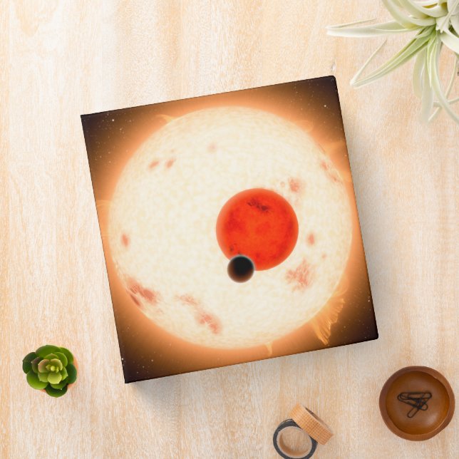 The Kepler-16 System. 3 Ring Binder (In Situ)