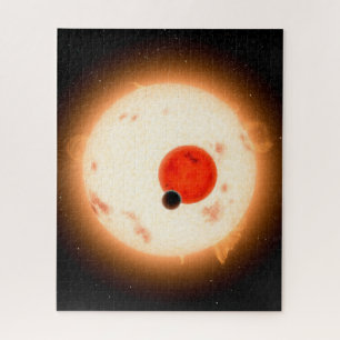 The Kepler-16 System. Jigsaw Puzzle