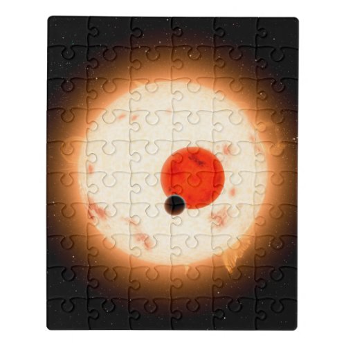 The Kepler_16 System Jigsaw Puzzle