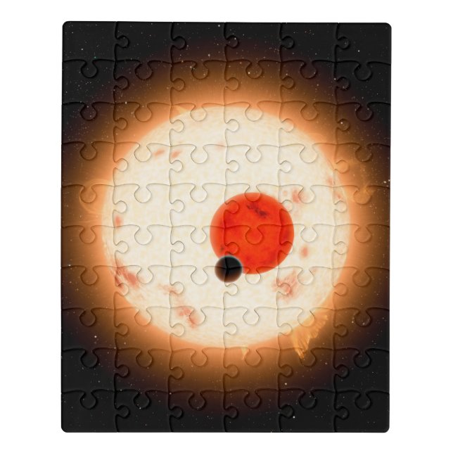 The Kepler-16 System. Jigsaw Puzzle (Puzzle Vertical)