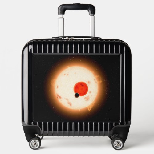 The Kepler_16 System Luggage