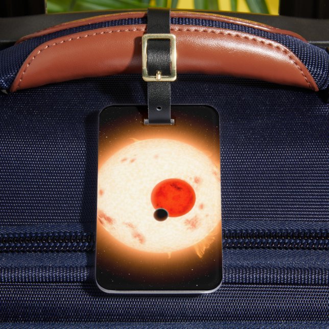 The Kepler-16 System. Luggage Tag (Front Insitu 2)