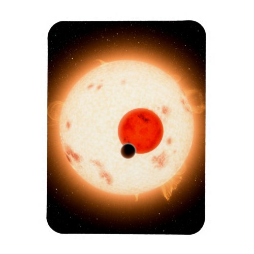 The Kepler_16 System Magnet