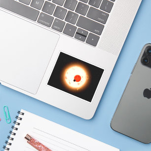 The Kepler-16 System. Sticker