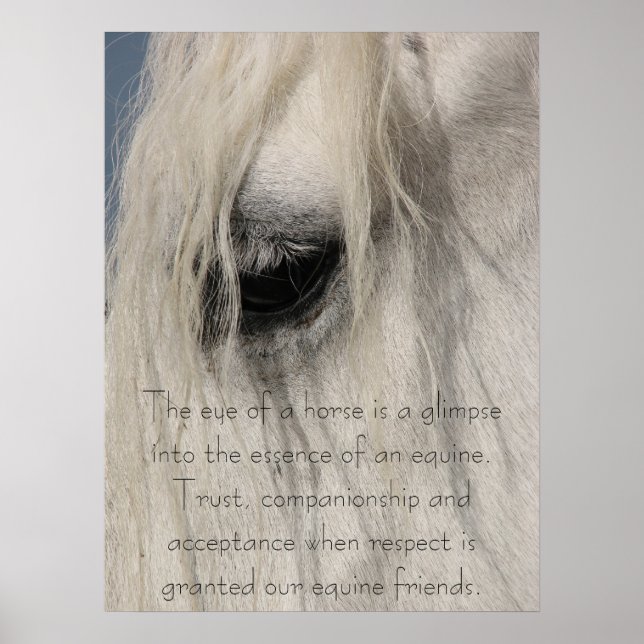 The Kind Eye of Gulliver Poster (Front)