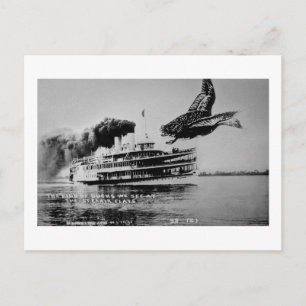 The Kind of Ducks We See Postcard