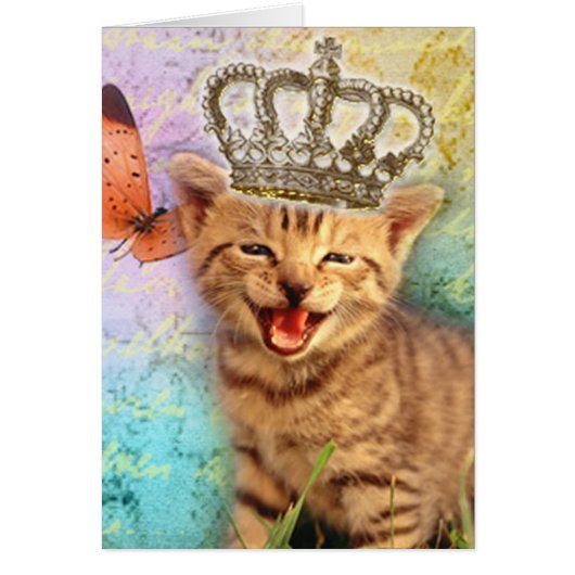 The King Cards (Front)