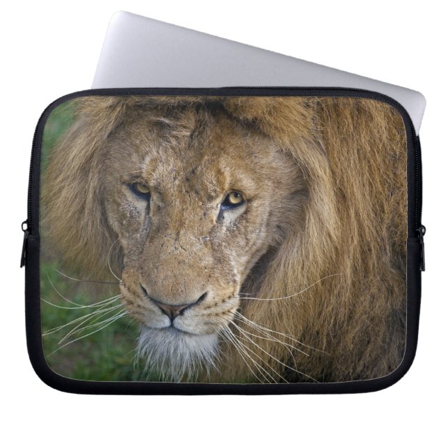 The King Laptop Sleeve (Front)