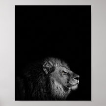 The King, Lion, black and white photography