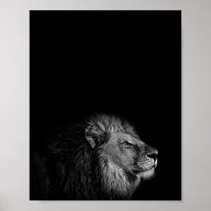 The King, Lion, black and white photography Poster