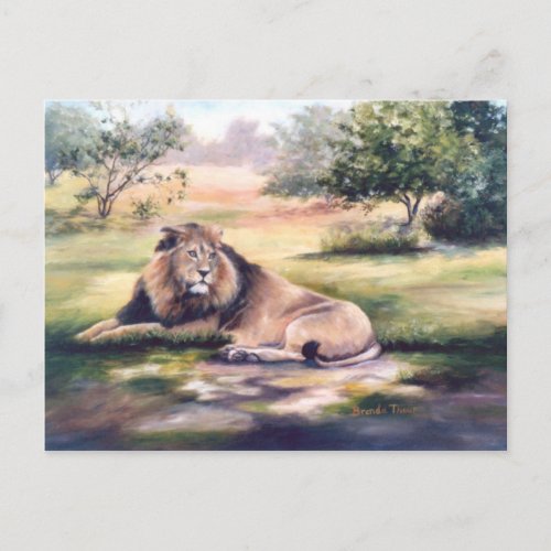 The King Lion Postcard