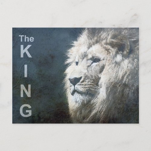 The King Modern Pop Art Template Animal Lion Head Postcard
