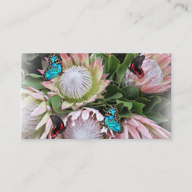 The King Protea  Business Card (Front)