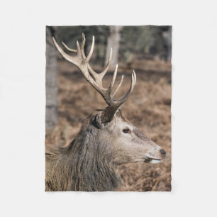 The King's Deer of Richmond Park, London, UK Fleece Blanket