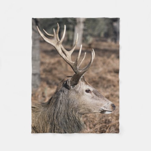 The Kings Deer of Richmond Park London UK Fleece Blanket