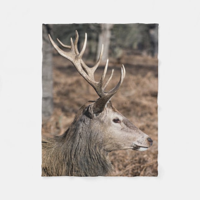 The King's Deer of Richmond Park, London, UK Fleece Blanket (Front)