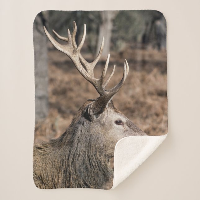 The King's Deer of Richmond Park, London, UK Sherpa Blanket (Front)
