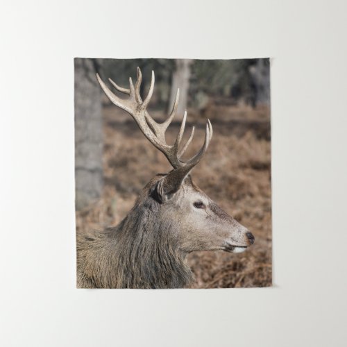 The Kings Deer of Richmond Park London UK Tapestry