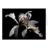 THE KISS (Front Horizontal)