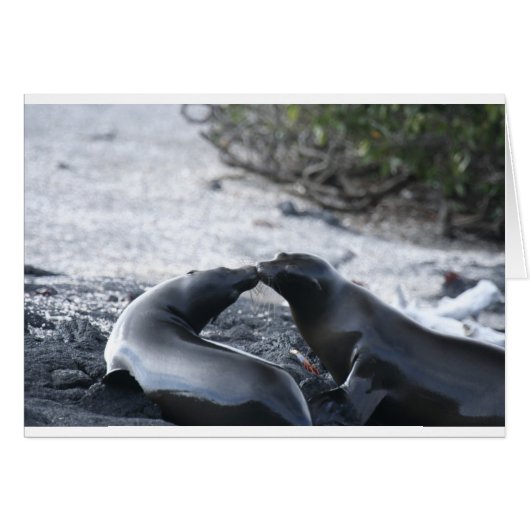 The kiss (Front Horizontal)