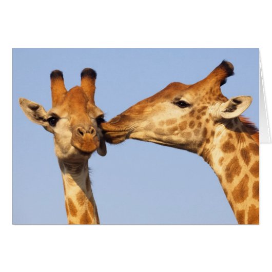 The Kiss (Front Horizontal)