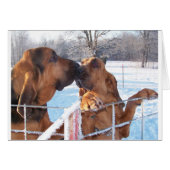 The Kiss - Bloodhound (Front Horizontal)