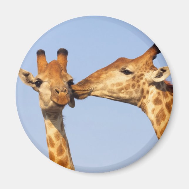 The Kiss Magnet (Front)